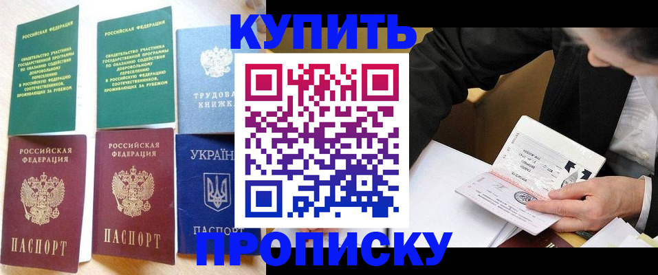 прописка для школы в Новгородской области